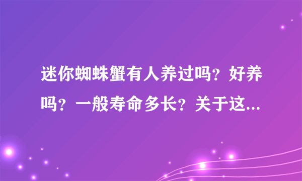 迷你蜘蛛蟹有人养过吗?好养吗?一般寿命多长?关于这种螃蟹的资料几乎没有,只知道可以深水,放草缸里不?